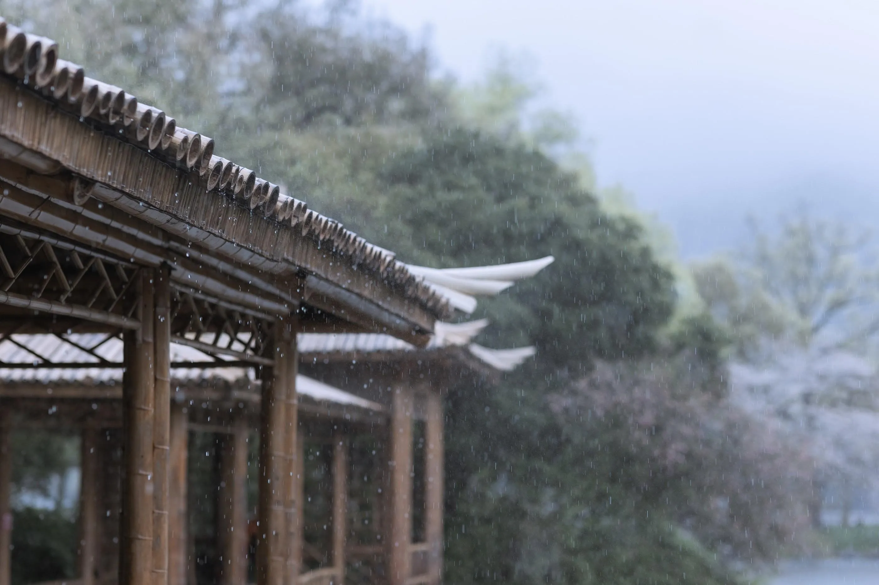 [艺图语] 2022.05.25 雨樱花 眸小妖 [46P]插图5